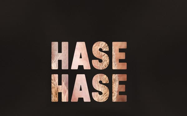 Hase_Hase